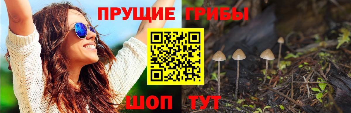 Псилоцибиновые грибы ЛСД Борисоглебск